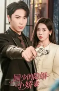 顾少的隐婚小娇妻