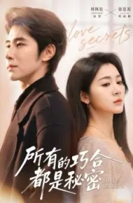 所有的巧合都是秘密 陆总夫人她只想离婚