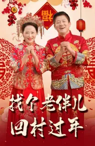 找个老伴儿回村过年