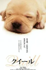 导盲犬小Q