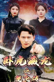 卧虎藏龙之楚飞传