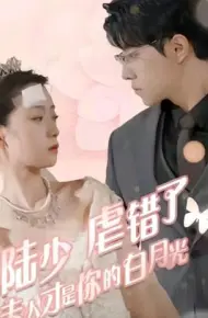 陆少虐错了，夫人才是你的白月光
