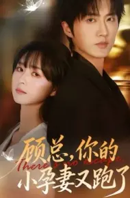 顾总,你的小孕妻又跑了