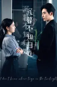 沉暮不知归处