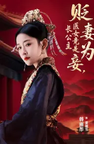 贬妻为妾医女竟是长公主