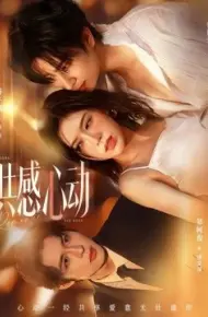 共感心动