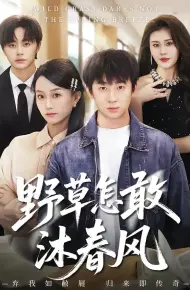 野草怎敢沐春风