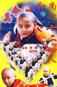 真命小和尚之十二铜人