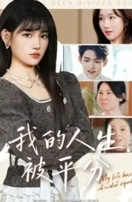 我的人生被平分