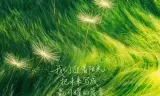 奋斗吧人生-演员篇