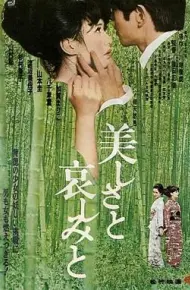 美丽与哀愁