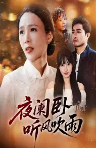 夜阑卧听风吹雨
