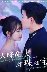 天降甜妻如珠如宝