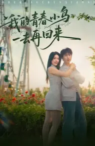 我的青春小鸟一去再回来