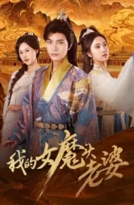 我的女魔头老婆