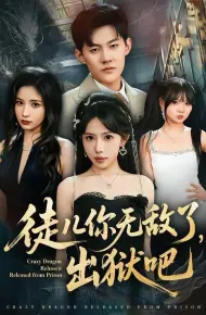 徒儿你无敌了，出狱吧