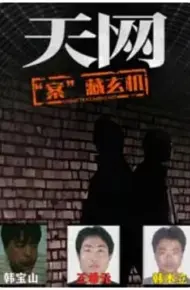 天网:“案”藏玄机