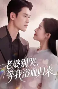 老婆别哭，等我浴血归来