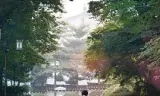 我是卢武铉