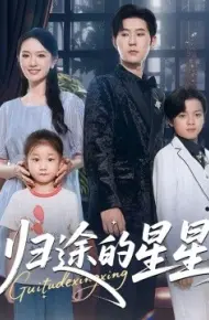 归途的星星