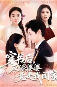 穿书后,反派婆婆竟是我闺蜜