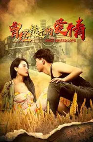 曾经错过的爱情