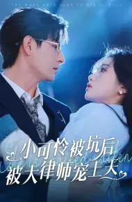 小可怜被坑后被大律师宠上天