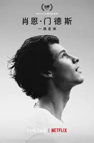 肖恩·门德斯：一路走来