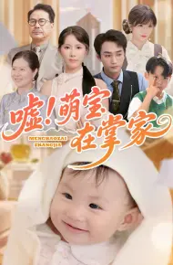 嘘萌宝在掌家