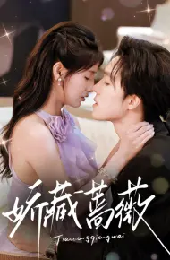 娇藏蔷薇