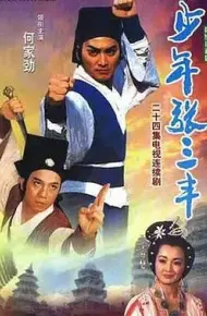 少年张三丰