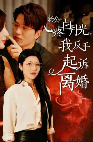 公疼白月光我反手起诉离婚