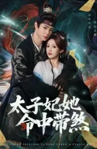 太子妃她命中带煞