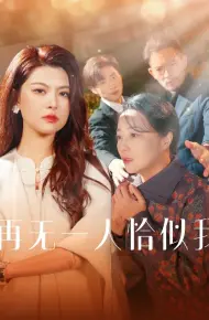 再无一人恰似我