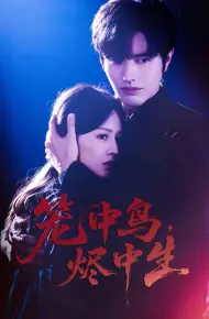 笼中鸟，烬中生