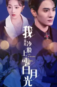 我竟是冷脸上司的白月光
