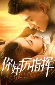 你好厉指挥