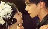 假面真情