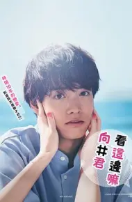 往这边看 向井君