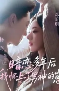 暗恋多年后我怀上了男神的崽