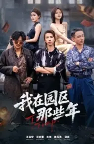 我在园区那些年