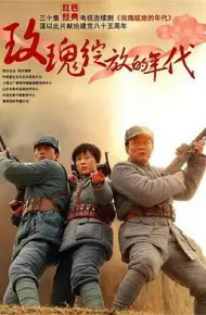 玫瑰绽放的年代