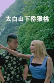 太白山下猕猴桃