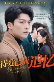 待爱已成追忆