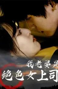 我老婆是绝色女上司