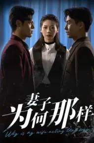 妻子为何那样