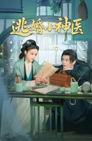 逃婚小神医