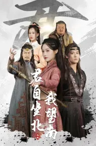 我自迎风向故里