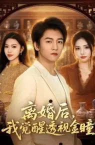 离婚后,我觉醒透视金瞳