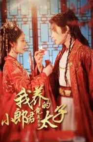 我养的小郎君竟是东宫太子 卿与天争娇